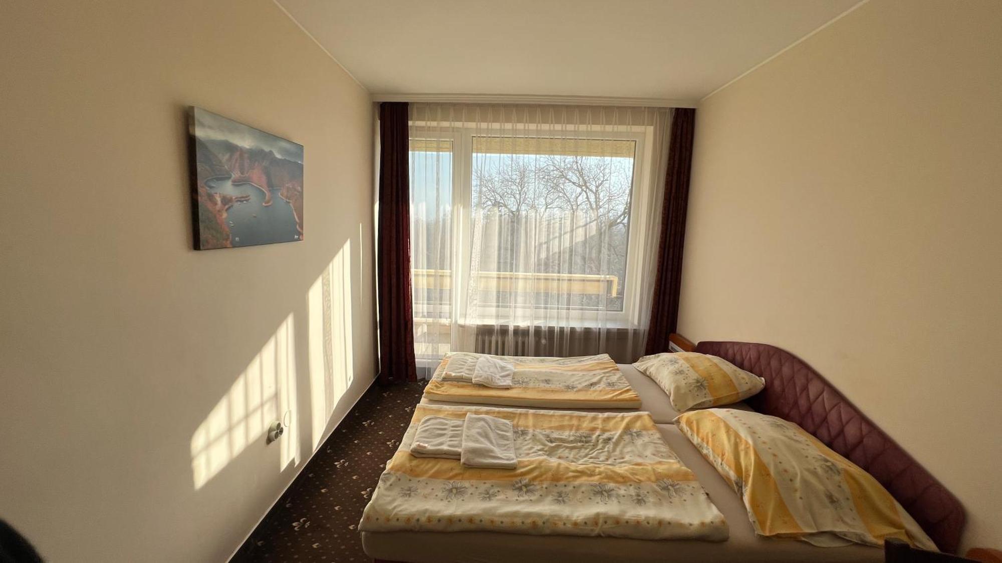 Hotel Gorna Banya ソフィア 部屋 写真
